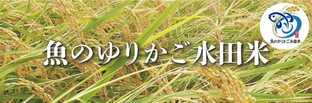 魚のゆりかご水田米