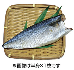 土佐沖真さば干物（徳用）