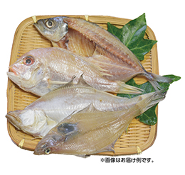 お楽しみふぞろい干物セット