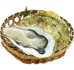 山田湾産殻付かき（生食可）