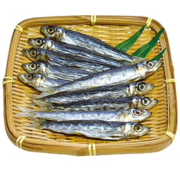 ウルメイワシ丸干し