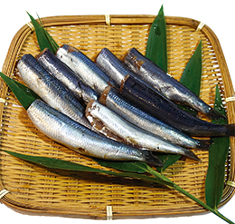 うるめいわし（ドレス）