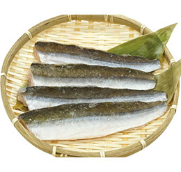 土佐のかます 三枚おろし